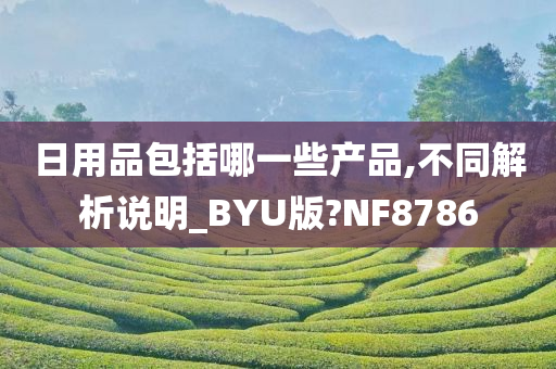 日用品包括哪一些产品,不同解析说明_BYU版?NF8786