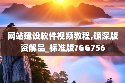 网站建设软件视频教程,确深版资解品_标准版?GG756