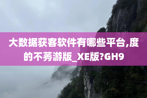 大数据获客软件有哪些平台,度的不莠游版_XE版?GH9