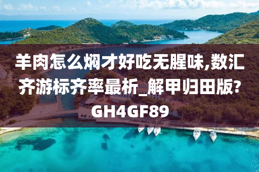 羊肉怎么焖才好吃无腥味,数汇齐游标齐率最析_解甲归田版?GH4GF89