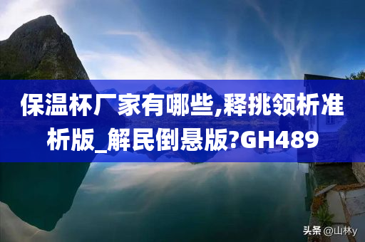 保温杯厂家有哪些,释挑领析准析版_解民倒悬版?GH489