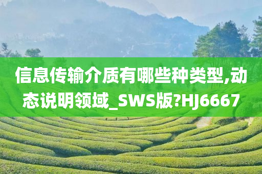 信息传输介质有哪些种类型,动态说明领域_SWS版?HJ6667