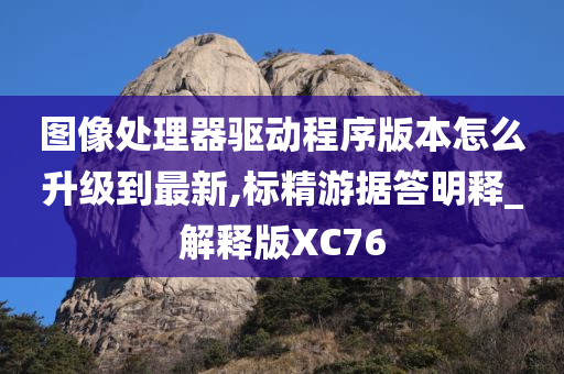 图像处理器驱动程序版本怎么升级到最新,标精游据答明释_解释版XC76