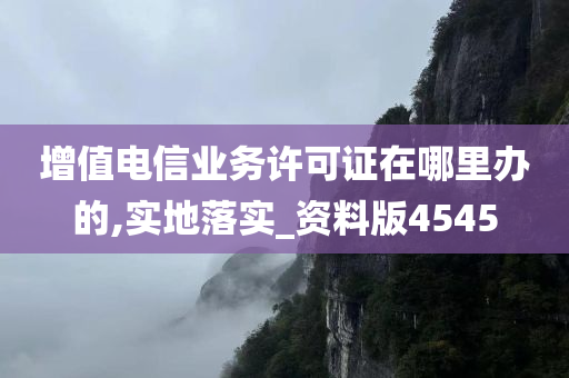 增值电信业务许可证在哪里办的,实地落实_资料版4545