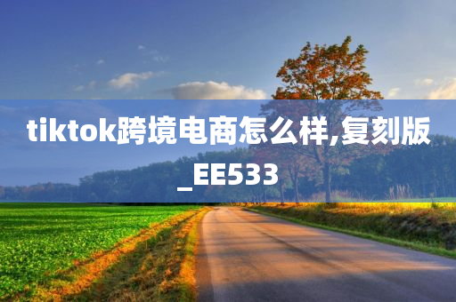 TikTok 跨境电商