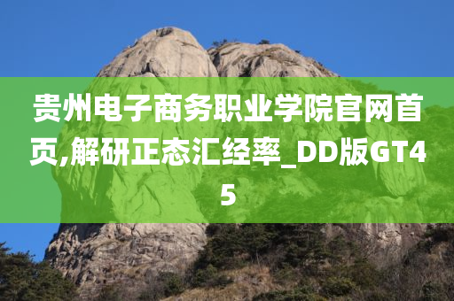 贵州电子商务职业学院官网首页,解研正态汇经率_DD版GT45