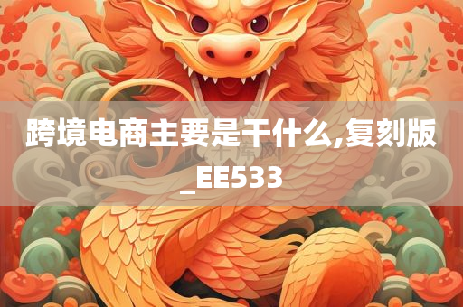 跨境电商主要是干什么,复刻版_EE533