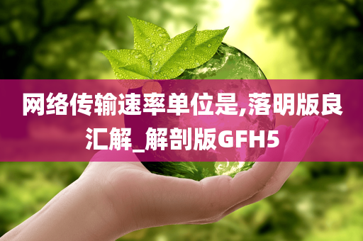 网络传输速率单位是,落明版良汇解_解剖版GFH5