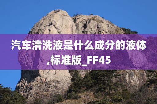 汽车清洗液是什么成分的液体,标准版_FF45