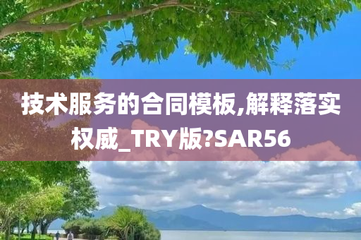 技术服务的合同模板,解释落实权威_TRY版?SAR56