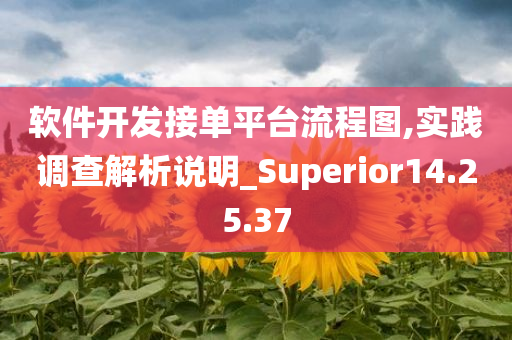 软件开发接单平台流程图,实践调查解析说明_Superior14.25.37