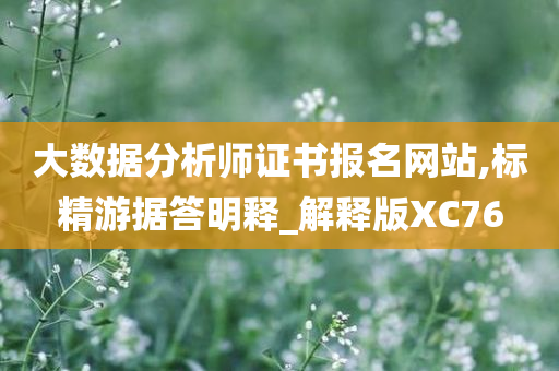 大数据分析师证书报名网站,标精游据答明释_解释版XC76