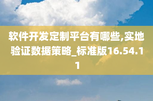 软件开发定制平台有哪些,实地验证数据策略_标准版16.54.11