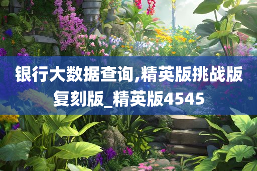 银行大数据查询,精英版挑战版复刻版_精英版4545