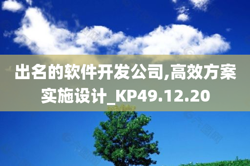 出名的软件开发公司,高效方案实施设计_KP49.12.20