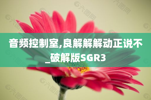 音频控制室,良解解解动正说不_破解版SGR3