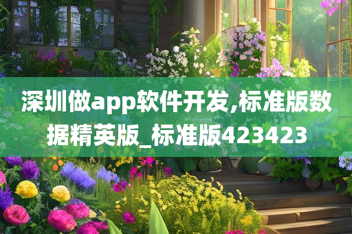 深圳做app软件开发,标准版数据精英版_标准版423423