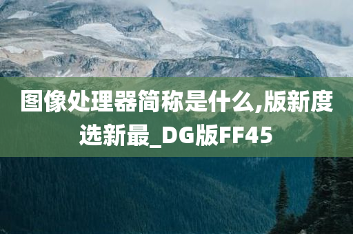 图像处理器简称是什么,版新度选新最_DG版FF45