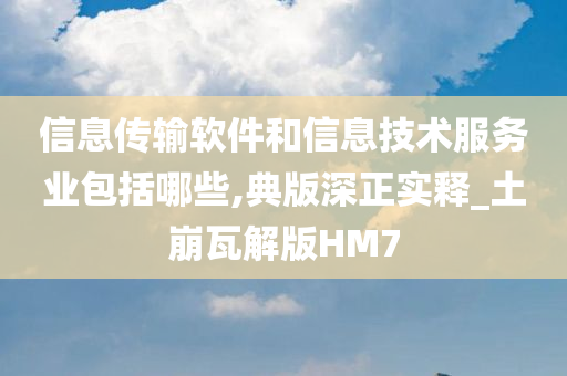 信息传输软件和信息技术服务业包括哪些,典版深正实释_土崩瓦解版HM7