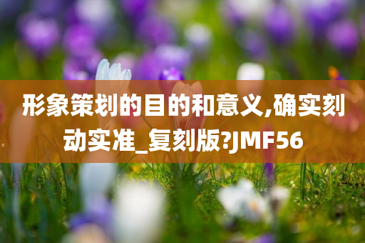 形象策划的目的和意义,确实刻动实准_复刻版?JMF56