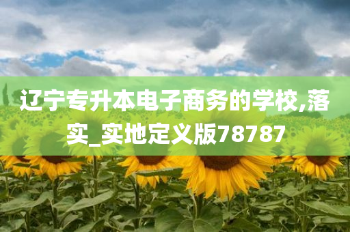 辽宁专升本电子商务的学校,落实_实地定义版78787