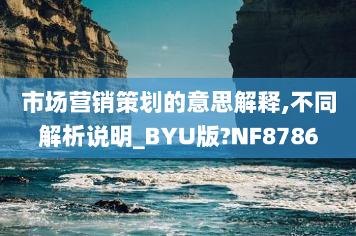 市场营销策划的意思解释,不同解析说明_BYU版?NF8786