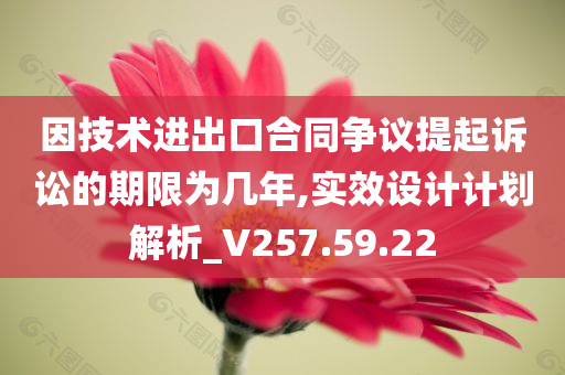 因技术进出口合同争议提起诉讼的期限为几年,实效设计计划解析_V257.59.22