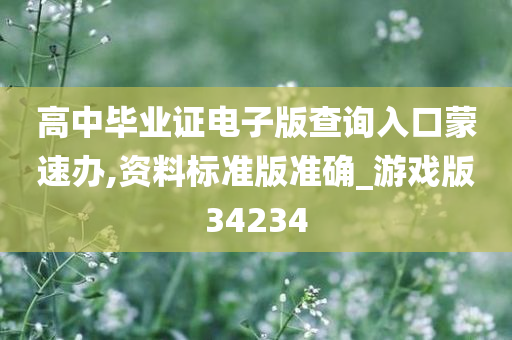 高中毕业证电子版查询入口蒙速办,资料标准版准确_游戏版34234