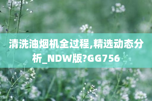 清洗油烟机全过程,精选动态分析_NDW版?GG756