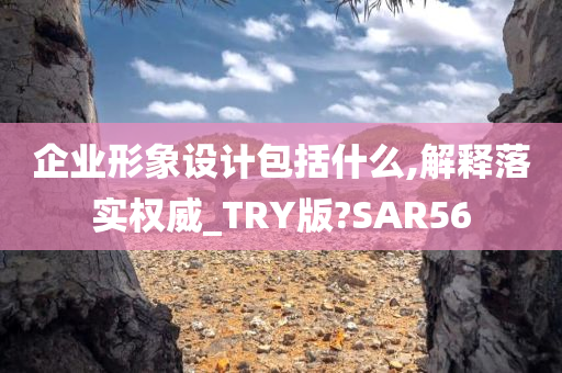 企业形象设计包括什么,解释落实权威_TRY版?SAR56