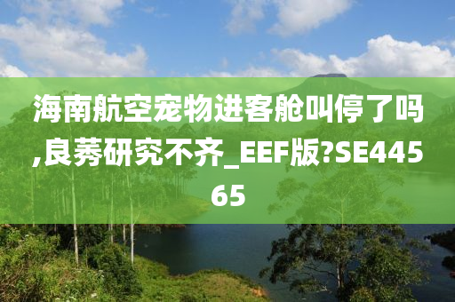 海南航空宠物进客舱叫停了吗,良莠研究不齐_EEF版?SE44565