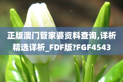 正版澳门管家婆资料查询,详析精选详析_FDF版?FGF4543