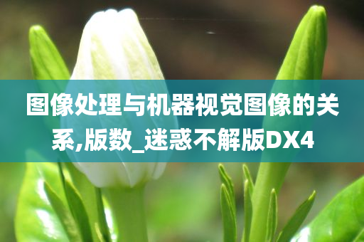 图像处理与机器视觉图像的关系,版数_迷惑不解版DX4