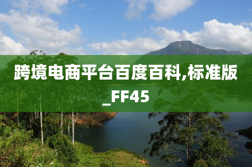 跨境电商平台百度百科,标准版_FF45