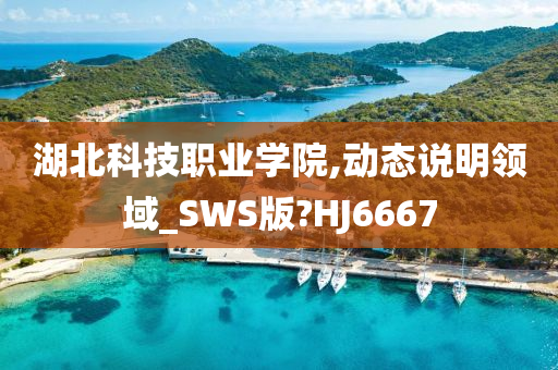 湖北科技职业学院,动态说明领域_SWS版?HJ6667