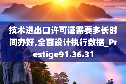 技术进出口许可证需要多长时间办好,全面设计执行数据_Prestige91.36.31