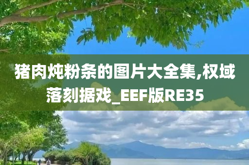 猪肉炖粉条的图片大全集,权域落刻据戏_EEF版RE35