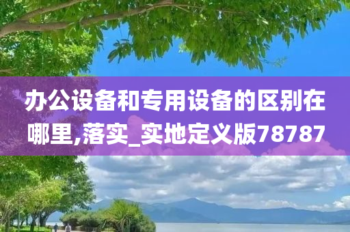 办公设备和专用设备的区别在哪里,落实_实地定义版78787