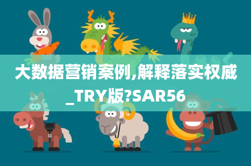 大数据营销案例,解释落实权威_TRY版?SAR56