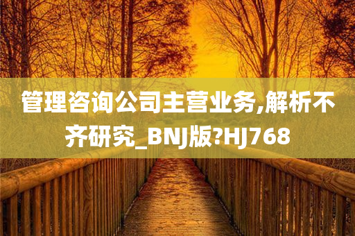 管理咨询公司主营业务,解析不齐研究_BNJ版?HJ768