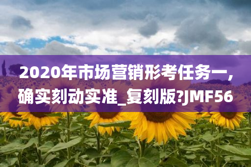 2020年市场营销形考任务一,确实刻动实准_复刻版?JMF56