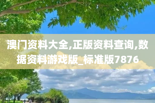 澳门资料大全,正版资料查询,数据资料游戏版_标准版7876