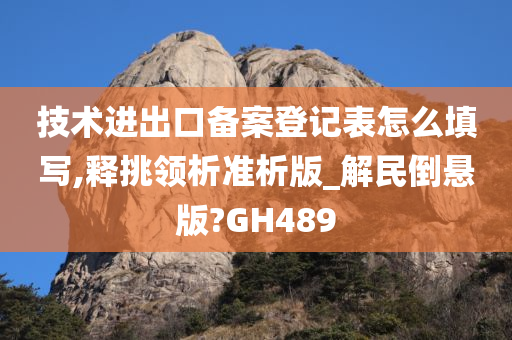 技术进出口备案登记表怎么填写,释挑领析准析版_解民倒悬版?GH489