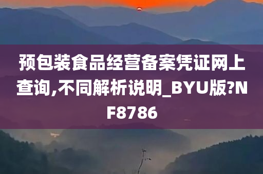 预包装食品经营备案凭证网上查询,不同解析说明_BYU版?NF8786