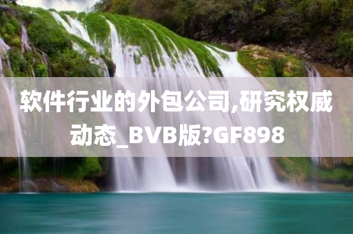 软件行业的外包公司,研究权威动态_BVB版?GF898