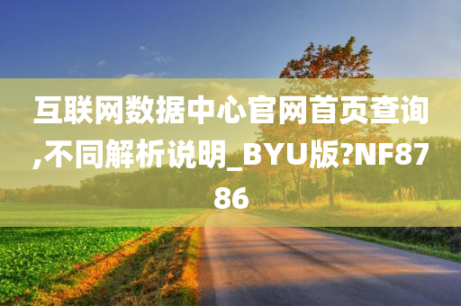 互联网数据中心官网首页查询,不同解析说明_BYU版?NF8786