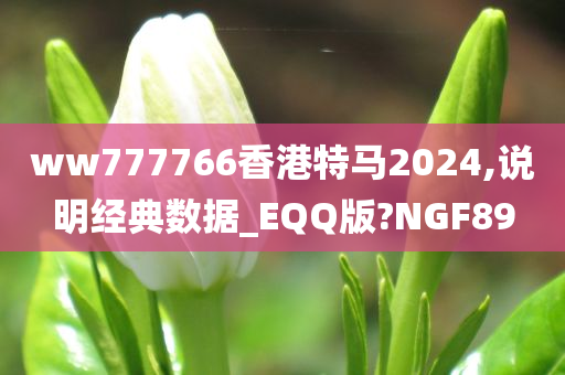 ww777766香港特马2024,说明经典数据_EQQ版?NGF89