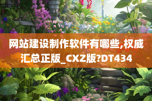 网站建设制作软件有哪些,权威汇总正版_CXZ版?DT434