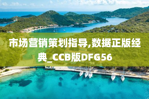 市场营销策划指导,数据正版经典_CCB版DFG56