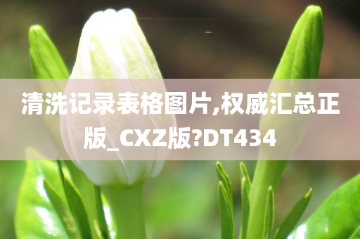 清洗记录表格图片,权威汇总正版_CXZ版?DT434